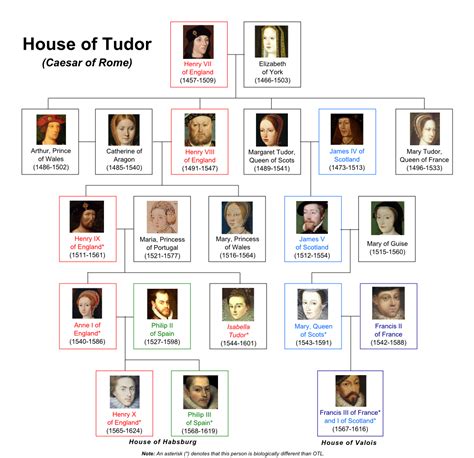 the house of tudor facts.